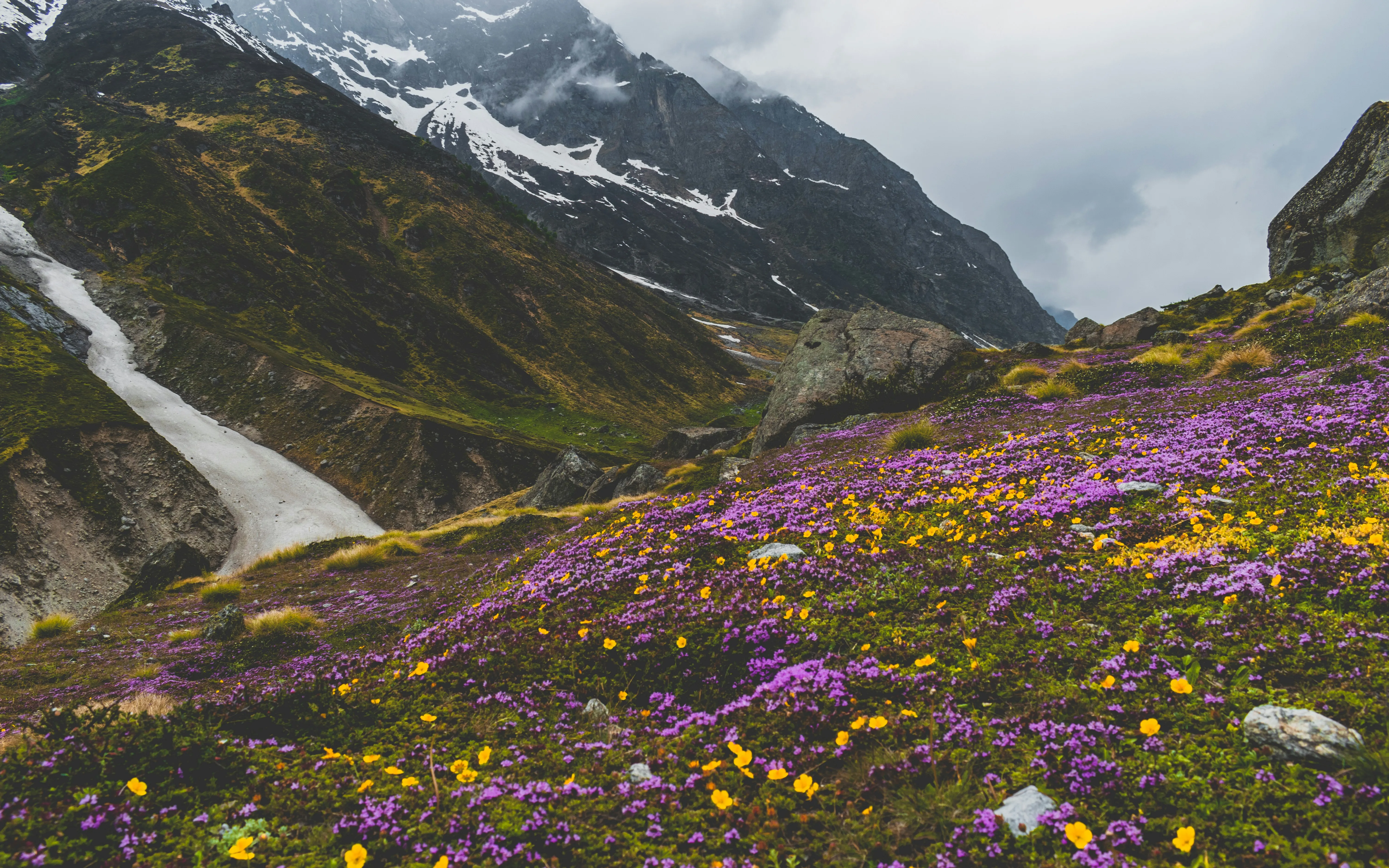 Nature Background