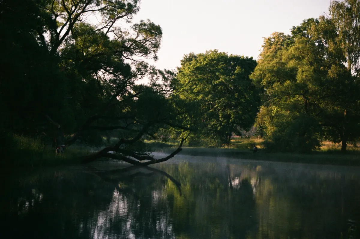 Nature Background