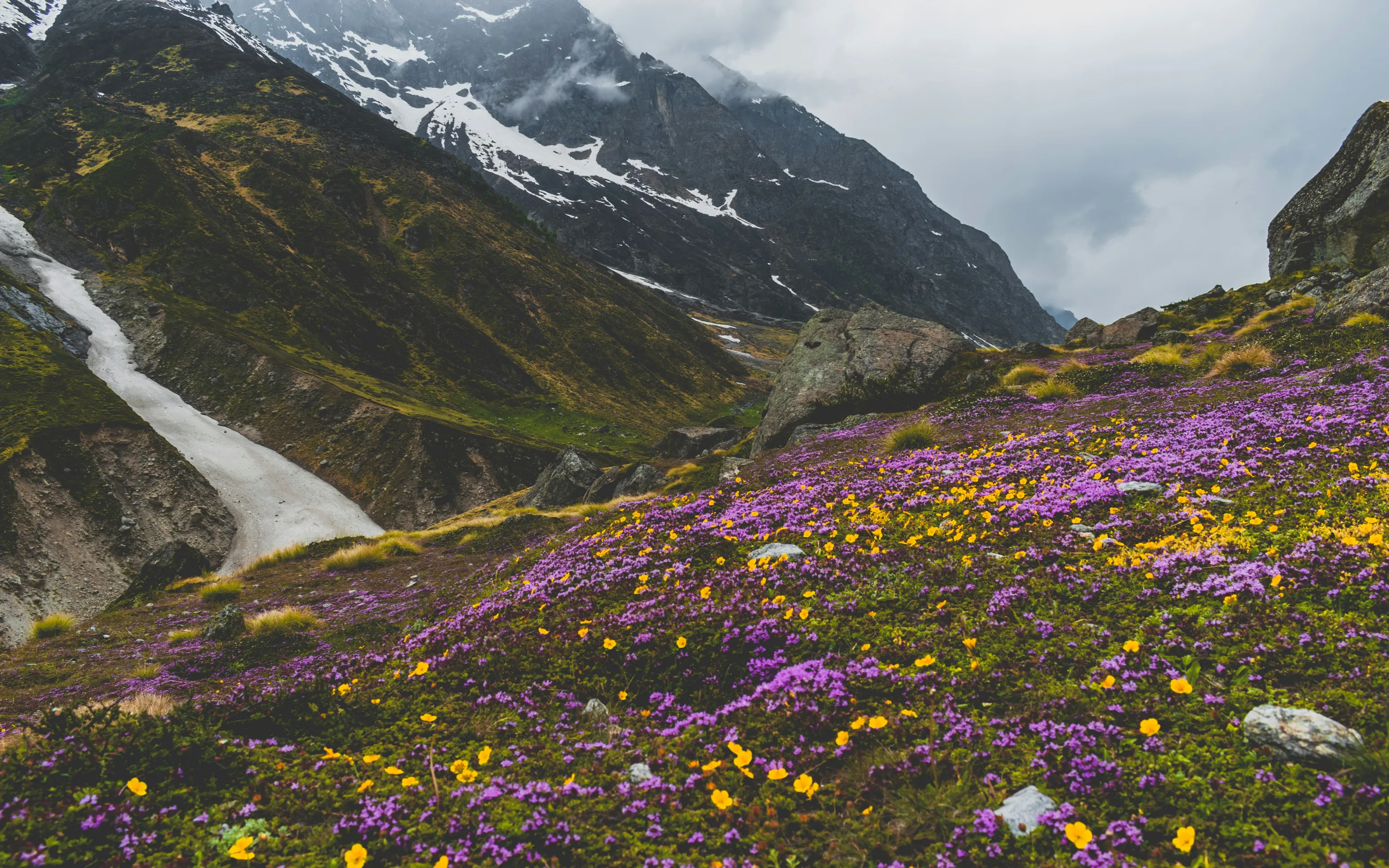 Nature background
